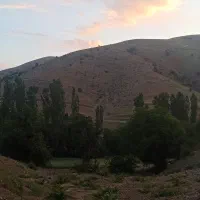 فروش ویژه زمین کشاورزی ۱۲ هزار متری