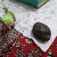 شهاب، بدون شناسنامه، همه دارای جذب