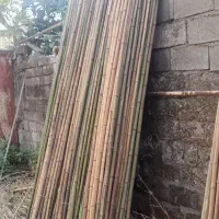 نی خیزران|گل و گیاه طبیعی|محلات, |دیوار