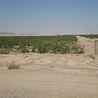 فروش زمین ۳ هکتار درابرکوه