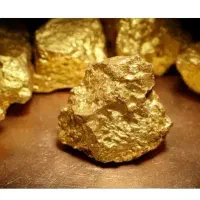 طلای رایگانن