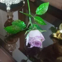 گل مشابه طبیعی