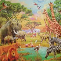 نصب و فروش کاغذدیواری