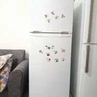 یخچال نونو ۲۰روز کار کرده