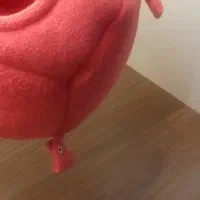 مخفیگاه پرنده