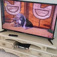 تلویزیون اسنوا ۴۹ اینچ