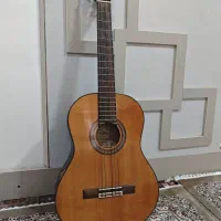 گیتار آریاak20