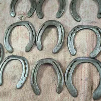 نعل اسب|اسب و تجهیزات اسب‌سواری|زابل, |دیوار