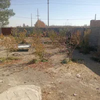 فروش باغ ویلا بیضا