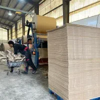 استخدام نیروی مرد در کارتن سازی