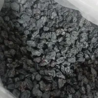 فروش عمده مویز سیاه کردستان دیم.ریز و درشت ۱۴۰۴|خوردنی و آشامیدنی|رودهن, |دیوار