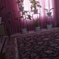 پرده حریر