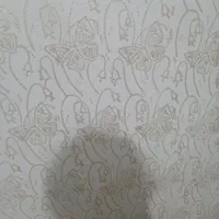 نقاش ساختمان