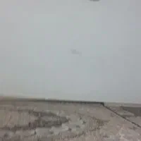 هم خونه خانوم