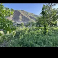 باغچه ۷۰۰ متری در قزوین روستای سپوهین الموت غربی