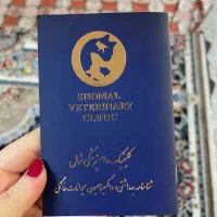 سگ باهوش و اصیل|سگ|آمل, |دیوار