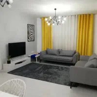 2 عددشگی فرش طوسی شش 6 و چهار 4 متری|فرش|شیراز, ملاصدرا|دیوار