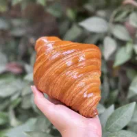 آموزش دوره نان حجیم و نیمه حجیم