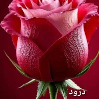 ۰۹۱۲۷۰۰۷۲۶۱