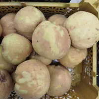 فروش به درجه یک|خوردنی و آشامیدنی|گلپایگان, |دیوار