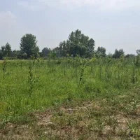 فروش ویژه زمین در شمال با شرایط استثنایی اقساط|فروش زمین و ملک کلنگی|تهران, امیرآباد|دیوار