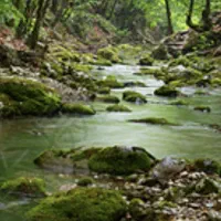 باغ کن ۳۵۰۶متر کنار رودخانه