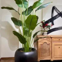 درختچه بیست برگ|گل مصنوعی|تهران, مشیریه|دیوار