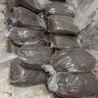 کشمش آفتابی