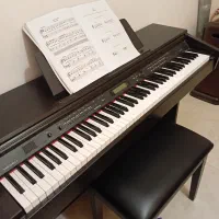 پیانو دیجیتال Medeli DP330