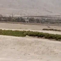 سه هزار متر مربع زمین کشاورزی