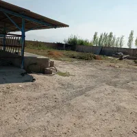 دو هکتار زمین کشاورزی با دامداری صنعتی|فروش دفتر صنعتی، کشاورزی، تجاری|نگین شهر, |دیوار