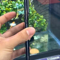 note10 pro|موبایل|شیراز, زند|دیوار