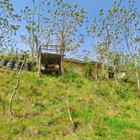 زمین ییلاقی|فروش خانه و ویلا|تالش, تالش|دیوار