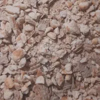 فروشنده ضایعات نان خشک. مشما و کارتن