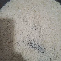 برنج فجر 90 روزه