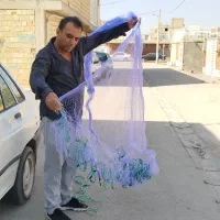 تور ماهی گیری چشم دو|ماهیگیری|اصفهان, بهارستان|دیوار