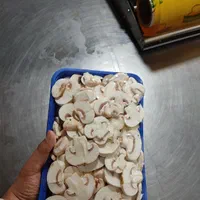 قارچ اسلایس و فله (شرکتی و کارگاهی)|خوردنی و آشامیدنی|تهران, جوانمردان (اندیشه)|دیوار