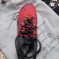 کفش فوتسال (سالنی)|تجهیزات ورزشی|دزفول, |دیوار