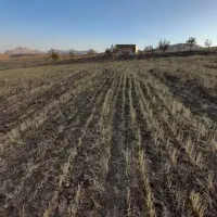 باغ۵۰۰۰مترروستای حیران|فروش دفتر صنعتی، کشاورزی، تجاری|همدان, |دیوار