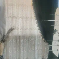 پرده سالم بدون پارگی و زدگی