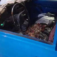 نیسان وانت مدل ۱۳۹۹|خودرو سواری و وانت|ملارد, |دیوار