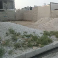 زمین مسکونی چغادک شرقی کوچه میثاق ۵