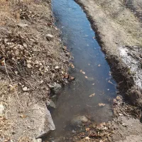 جهت خرید باغ در اسکو با ما در تماس باشید|فروش خانه و ویلا|اسکو, |دیوار