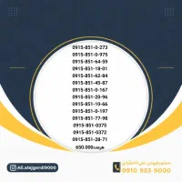 0915-389-4002|سیم‌کارت|نیشابور, دارایی|دیوار