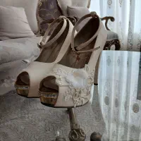 کفش مجلسی
