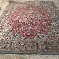 فرش قالی12متری|فرش|اندیمشک, |دیوار