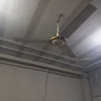 پنکه سقفی درحد و تظمینی خارجی|پنکه و تصفیهکنندهٔ هوا|گنبد کاووس, |دیوار