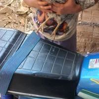۲تا مرغ و تا خروس محلی تاقچه و ۳تا مرغ ماشینی
