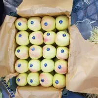 چند خانم برای بسته بندی سیب در سردخانه نیازمندیم|استخدام صنعتی، فنی، مهندسی|خوی, |دیوار