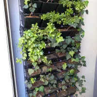 فروش فوری زمین ،کوی انصار